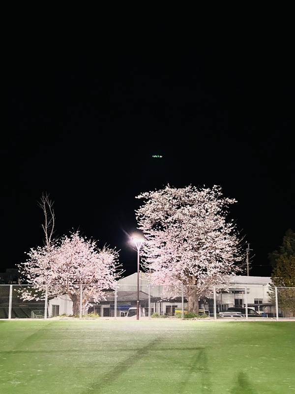 練習試合の様子